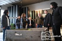 Betriebsbesuch Schön Gemüse