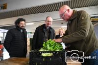 Betriebsbesuch Schön Gemüse