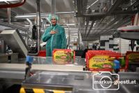 Besuch Firma Manner