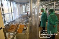 Besuch Firma Manner