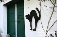 Kellerkatze