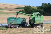 Getreideernte 2024