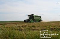 Getreideernte 2024