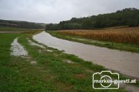 Brandbach Zwentendorf