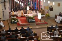 Orgelweihe Wildendürnbach