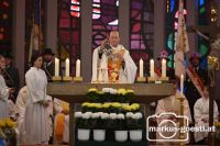 Orgelweihe Wildendürnbach