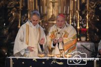 Eröffnung Quartier Wolkersdorf