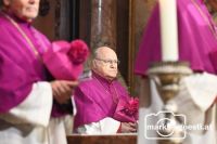 Dankfest Kardinal Schönborn