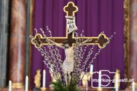 Palmsonntag Gnadendorf