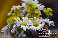 Blumenschmuck