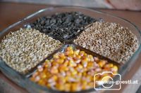 Erntedankfest Gnadendorf