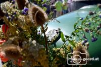 Oldtimertreffen Ernstbrunn