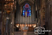Riesenorgel Stephansdom