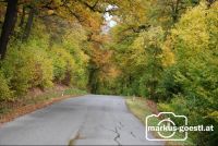 Herbst6