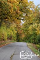 Herbst5