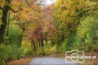 Herbst3