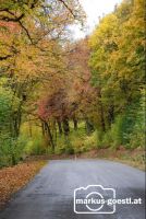 Herbst2