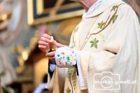 Kommunionspendung Gipshand