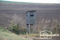 Hochstand