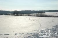 Winterlandschaft5
