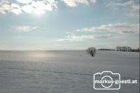 Winterlandschaft9