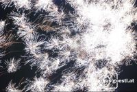Feuerwerk11
