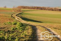 Feldweg