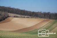 Frühjahrsanbau2
