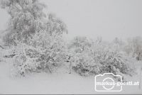 Winterlandschaft3