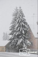 Winterlandschaft2