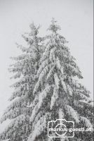 Winterlandschaft1