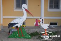 Storch_Nachwuchs2