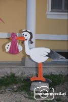 Storch_Nachwuchs1