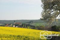 Kirche_Rapsfeld5