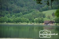 Stubenbergsee3