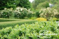 Schaugarten4