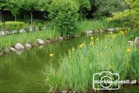 Schaugarten2