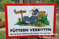 Füttern_verboten