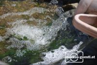 sprudelndes_Wasser