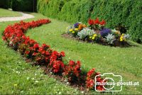 Blumen