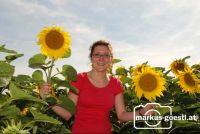 Sonja_Sonnenblume3