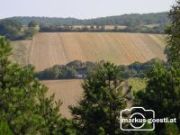 Herbstlandschaft3