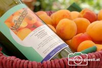 Marillenernte