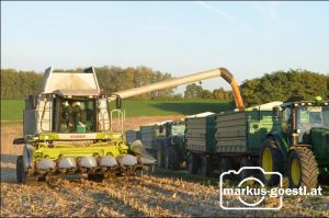 Turnovszky fährt Bagger