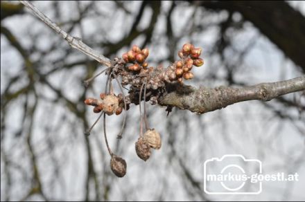 Symbolfoto Tod und Leben