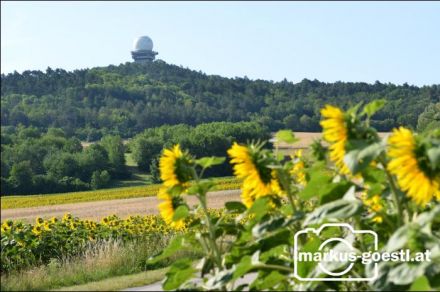 Blick zum Buschberg