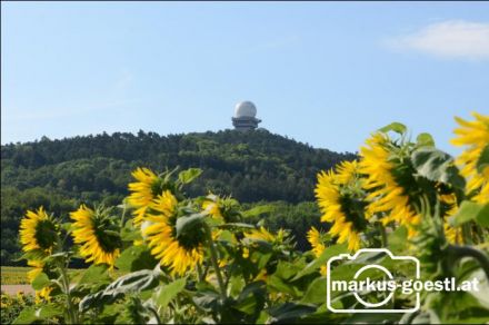 Blick zum Buschberg