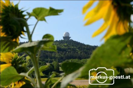 Blick zum Buschberg