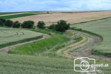 Weinviertel Landschaft