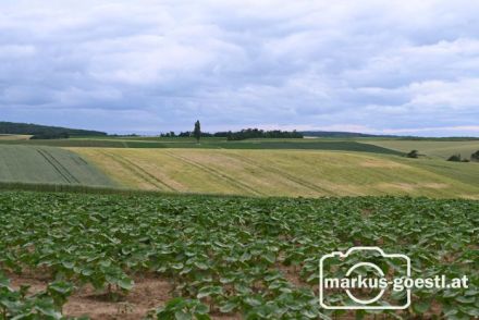 Weinviertel Landschaft